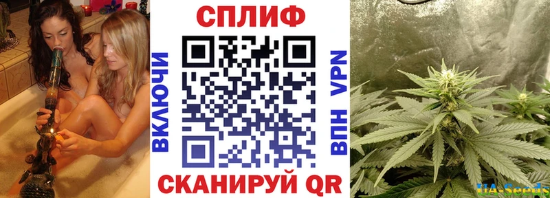 Конопля ГИДРОПОН  что такое наркотик  ОМГ ОМГ зеркало  Макушино 